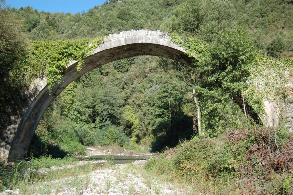 B&B Calabria Scigliano Zewnętrze zdjęcie