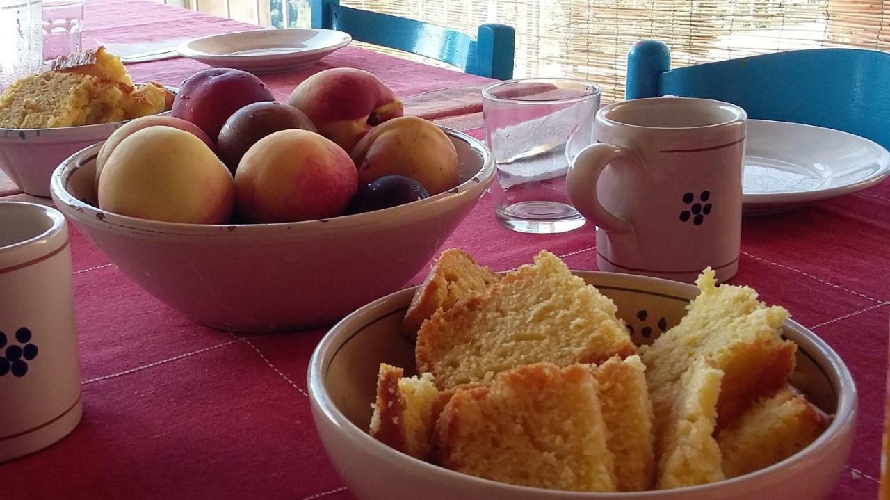 B&B Calabria Scigliano Zewnętrze zdjęcie
