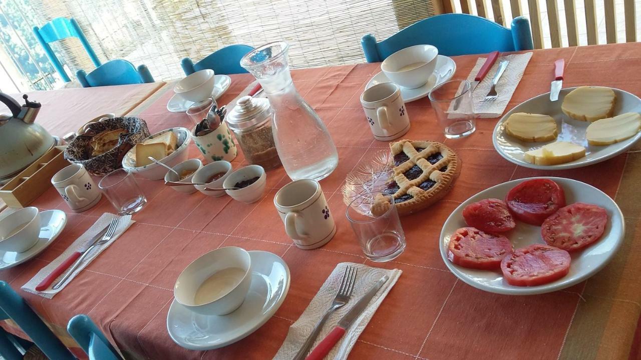 B&B Calabria Scigliano Zewnętrze zdjęcie