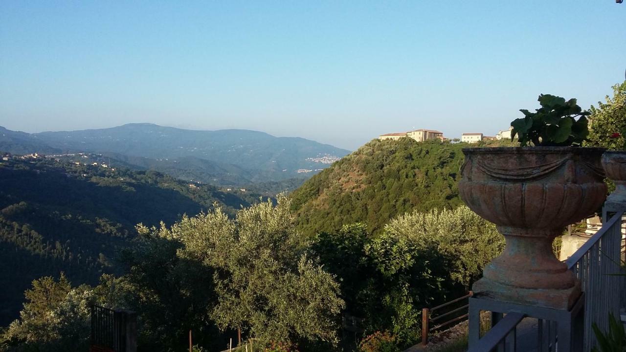 B&B Calabria Scigliano Zewnętrze zdjęcie
